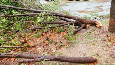 Who Is Responsible For Debris Falling From Vehicles_