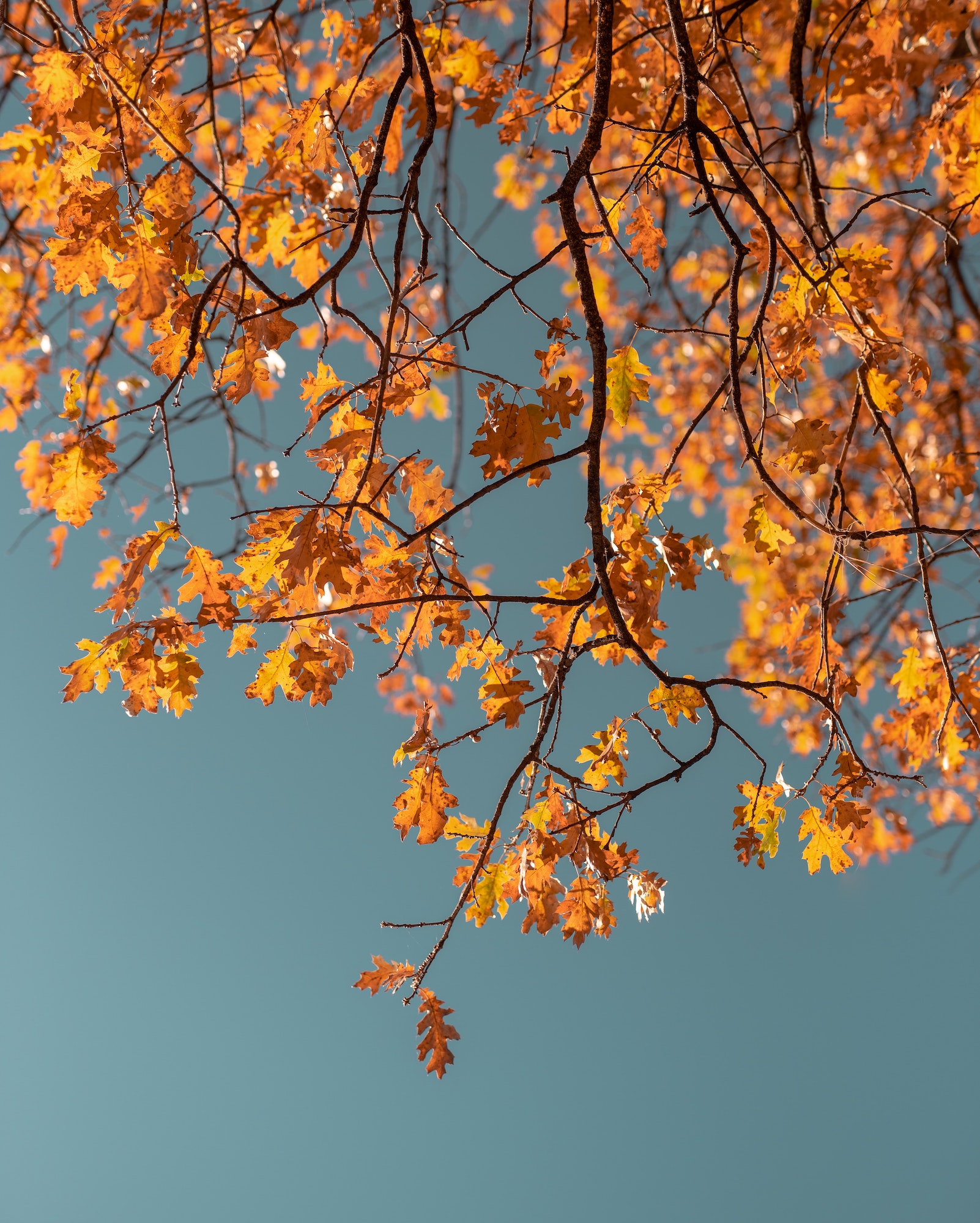 The Top Causes Of Personal Injury Accidents In Autumn